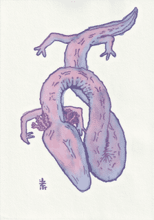 olm-2025